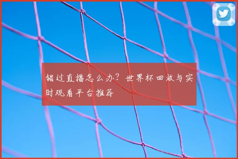 错过直播怎么办?世界杯回放与实时观看平台推荐