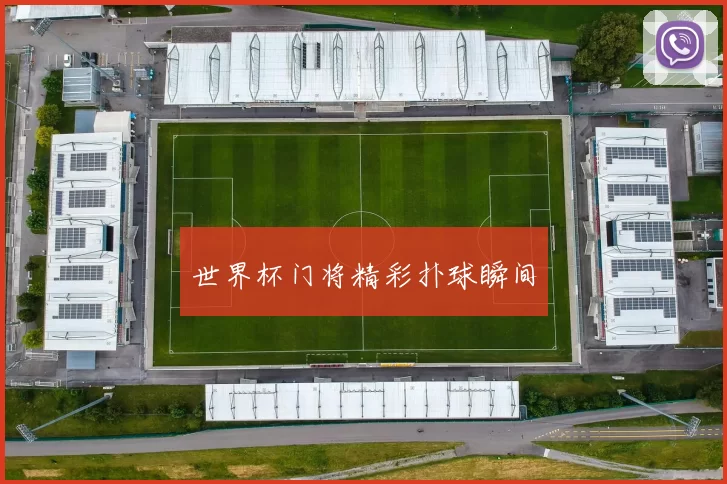 世界杯门将精彩扑球瞬间