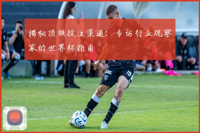 揭秘顶级投注渠道:专访行业观察家的世界杯指南
