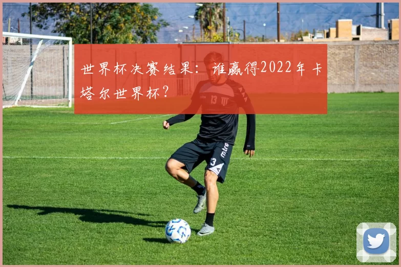 世界杯决赛结果:谁赢得2022年卡塔尔世界杯?
