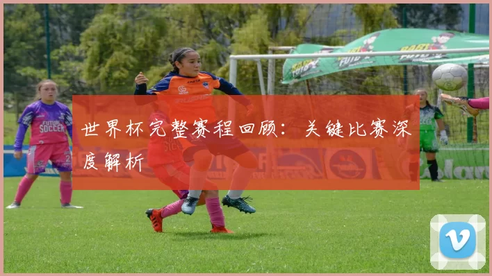 世界杯完整赛程回顾:关键比赛深度解析