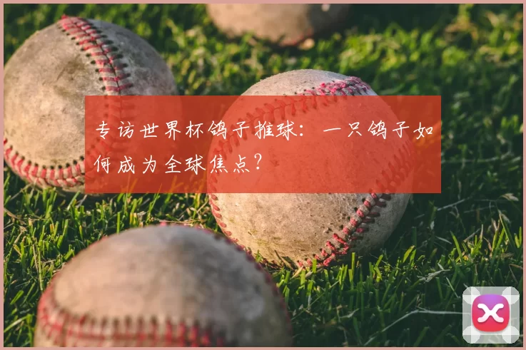 专访世界杯鸽子推球:一只鸽子如何成为全球焦点?