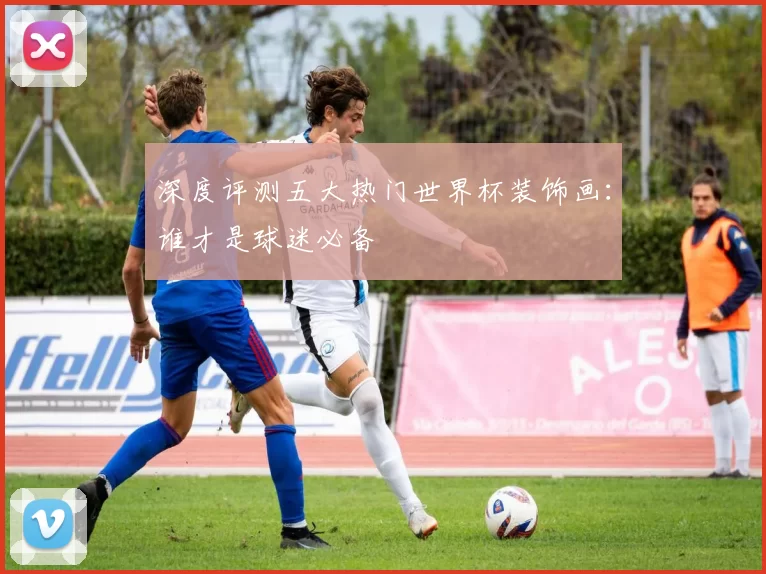 深度评测五大热门世界杯装饰画：谁才是球迷必备