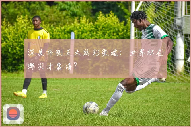 深度评测五大购彩渠道:世界杯在哪买才靠谱?
