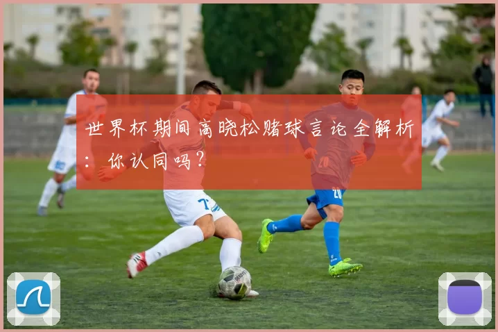 世界杯期间高晓松赌球言论全解析:你认同吗?