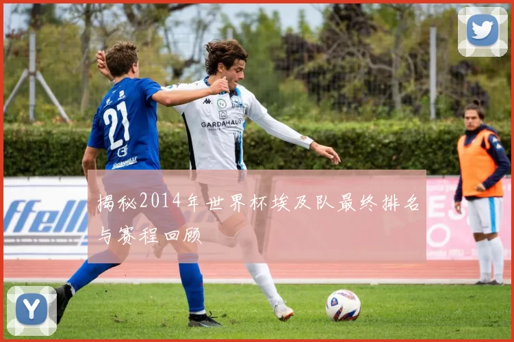 揭秘2014年世界杯埃及队最终排名与赛程回顾